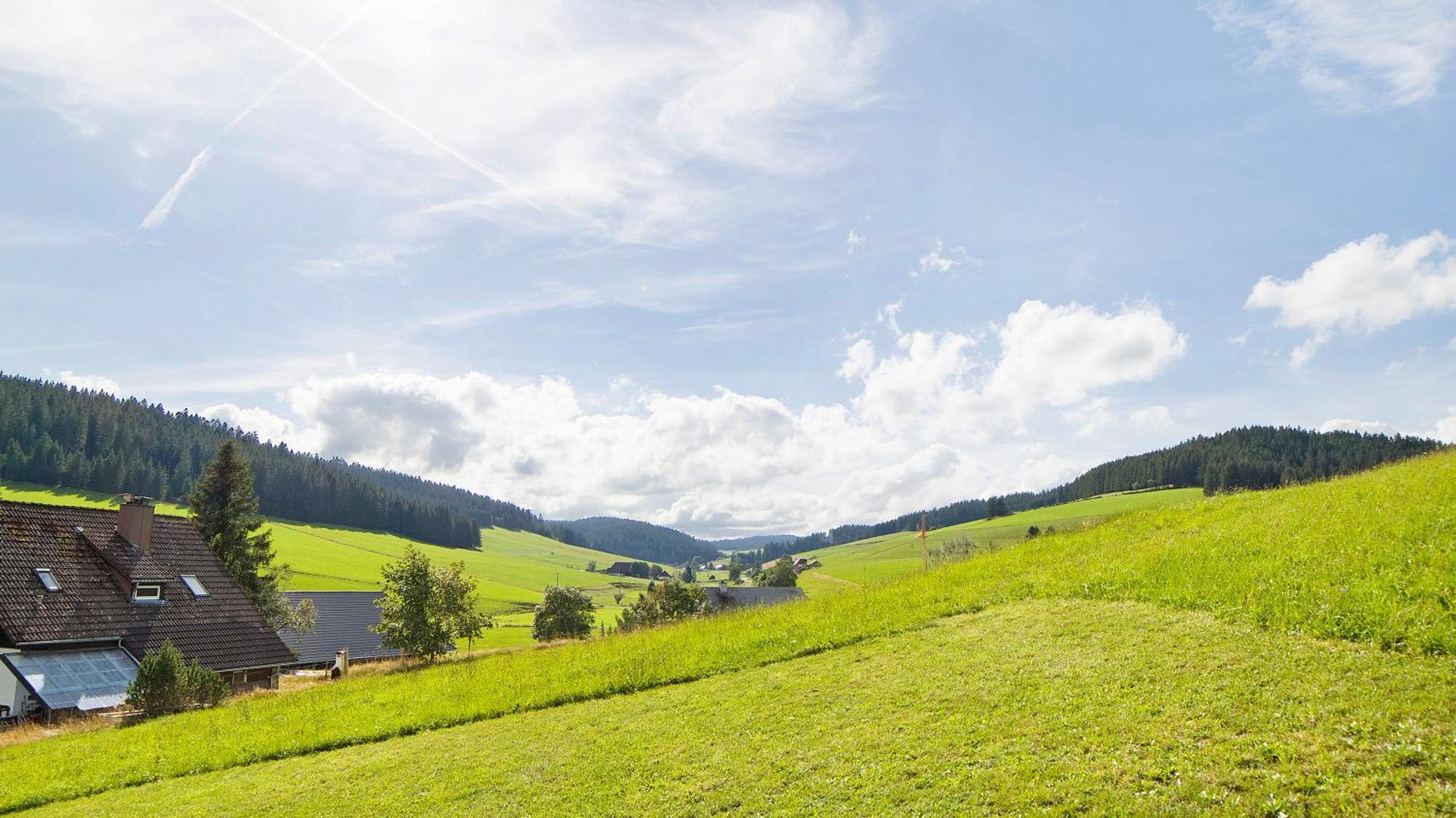 Haus Zum Sternen *